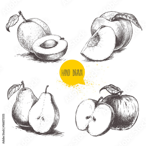 Hand drawn sketch style fruits set. Apricots, peaches, half pears, apples.Bio food vector illustration collection isolated on white background.