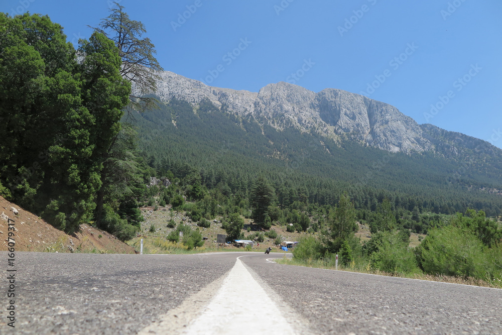 Biker is riding a motorcycle on the road. View of mountain and forest. 