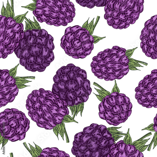 Hand drawn sketchy berries. Ripe blackberry branch isolated on white. Seamless pattern vintage. Vector illustration