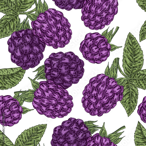 Hand drawn sketchy berries. Ripe blackberry branch isolated on white. Seamless pattern vintage. Vector illustration