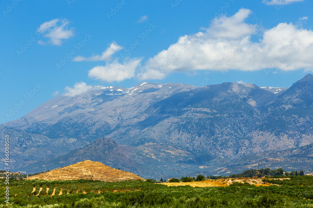 Obraz premium Beautiful mountain landscape with olive plantation, Crete Island, Greece