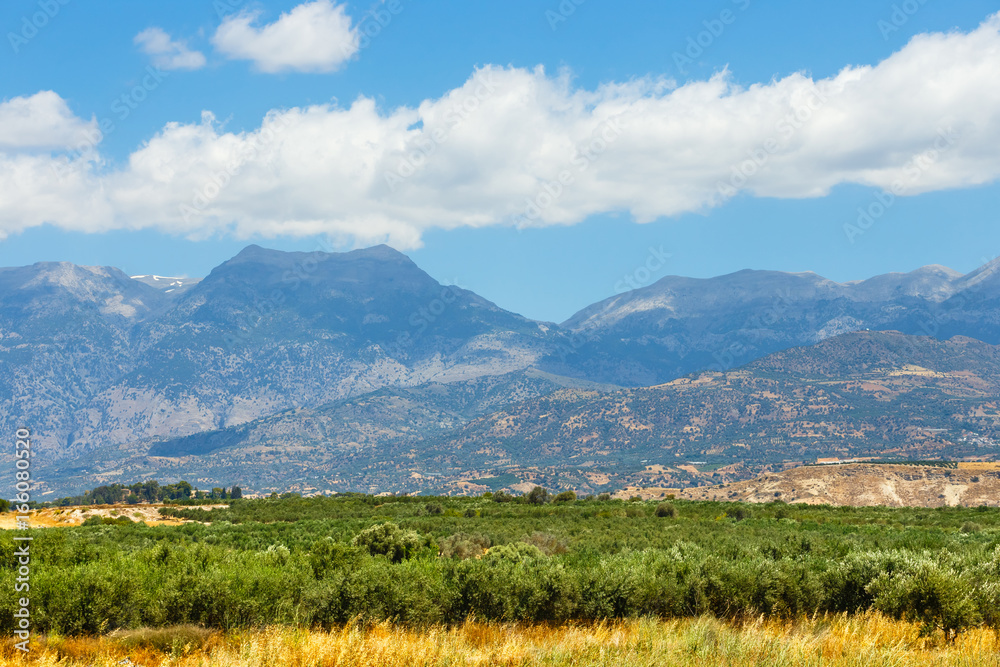 Fototapeta premium Beautiful mountain landscape with olive plantation, Crete Island, Greece
