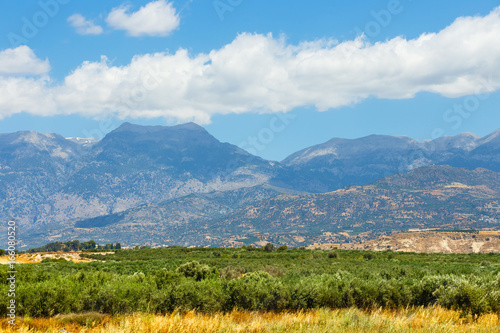 Beautiful mountain landscape with olive plantation, Crete Island, Greece photo