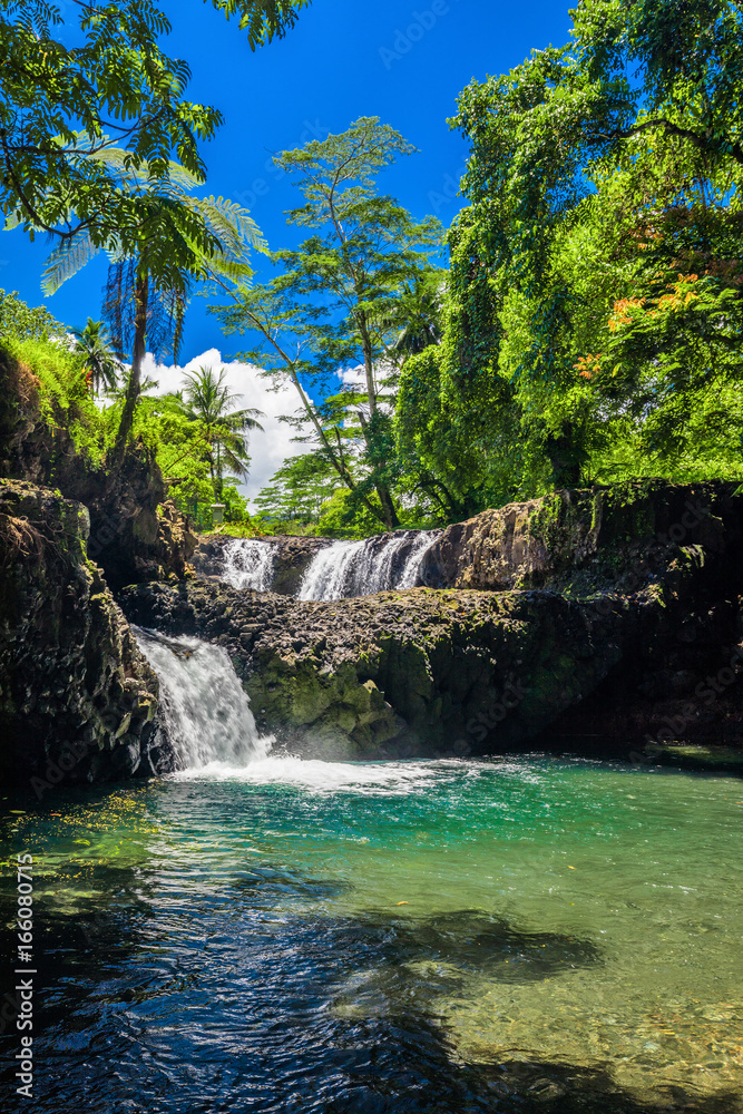 Fototapeta premium Vibrant Togitogiga falls with swimming hole on Upolu, Samoa