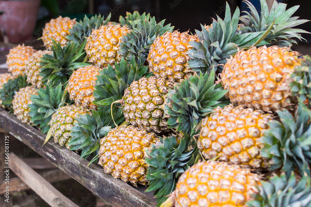 Many row of pineapple at market stall Many row of pineapple at market stall