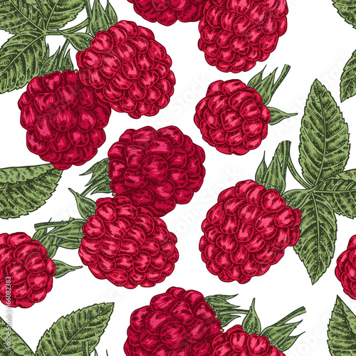 Hand drawn sketchy berries. Ripe raspberry branch isolated on white. Seamless pattern vintage. Vector illustration