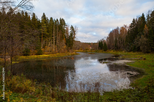 Autumn landscape with pine forest and a pond.