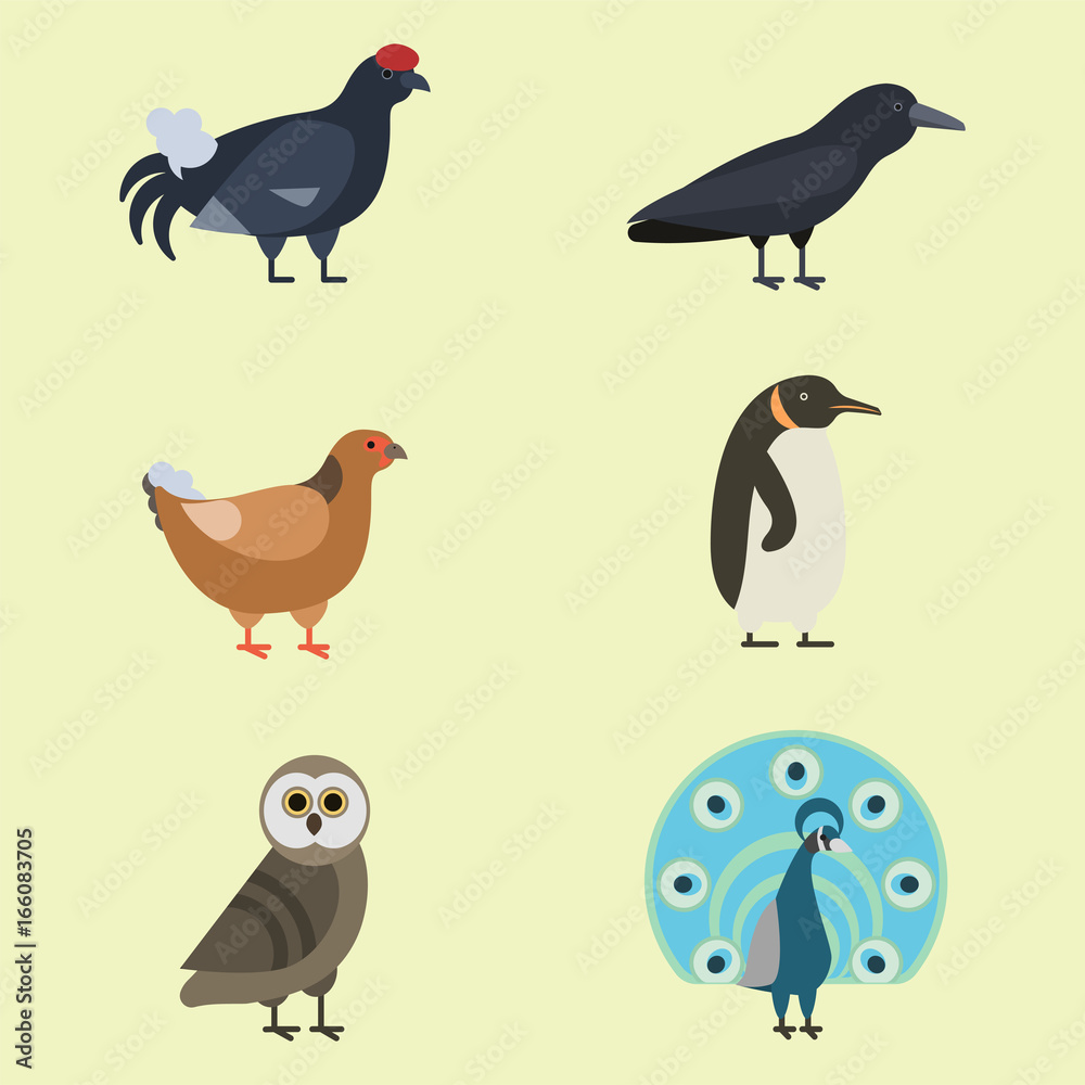 Fototapeta premium Bird species collection different vector illustration wild animal characters avifauna tropical feather pets
