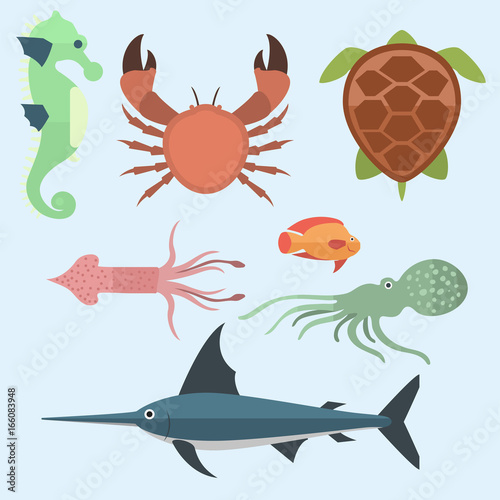 Vector sea animals creatures characters cartoon ocean underwater aquarium life water graphic aquatic tropical beasts illustration