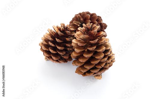  Dried pine cones on white