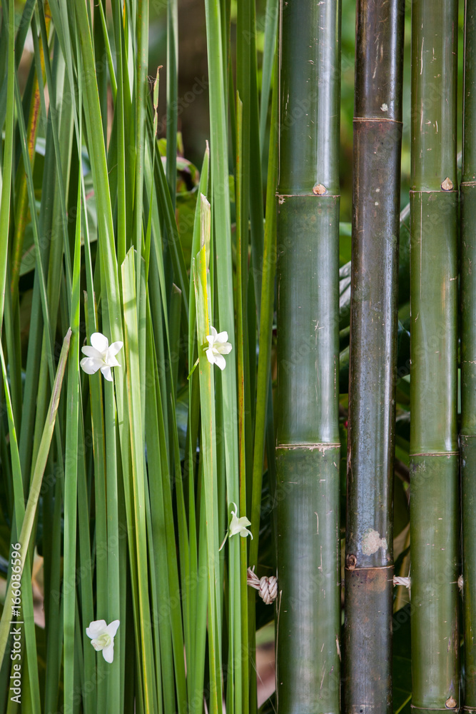 Wedding floral decorations on the beach in Thailand Wedding floral decorations on the beach in Thailand