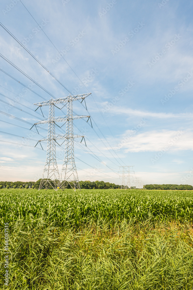 Electricity pylons and cables in an agricultural landscape with silage ...