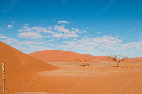 Beautiful desert landscape around Sossusvlei, Namibia, Africa