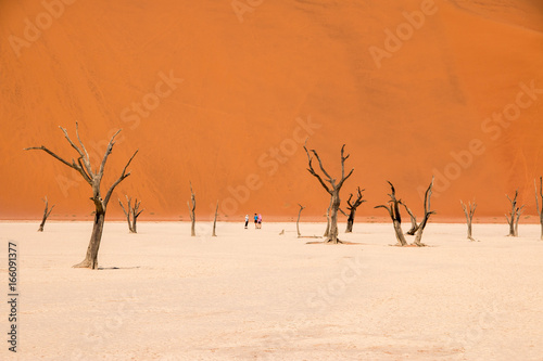 Desert landscape in Deadvlei, Namibia