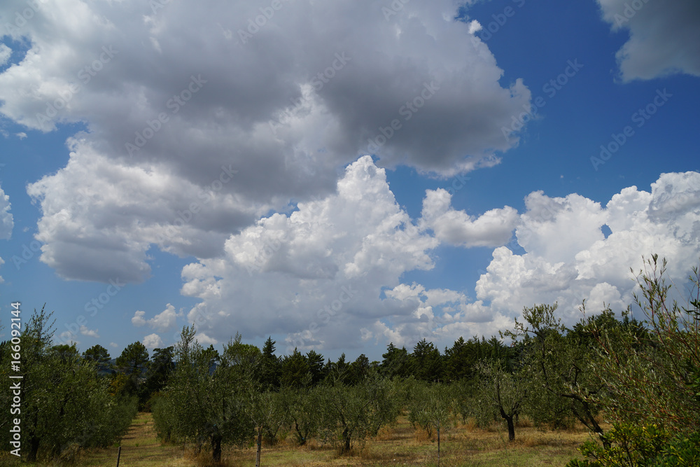 Obraz premium Italien Toskana Landschaft Wolken Himmel