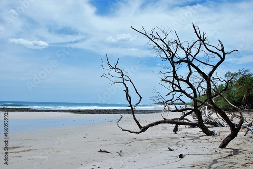 Avellanas beach, Guanacaste , costa rica