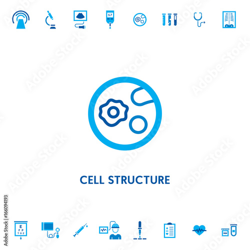 Cell Structure Microscope Vector Icon