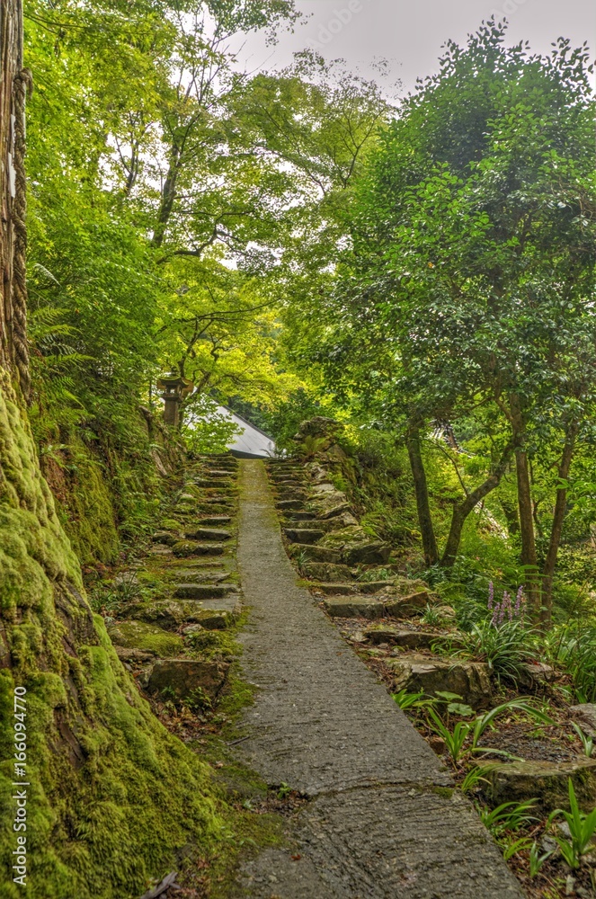 Obraz premium 石段（HDR）