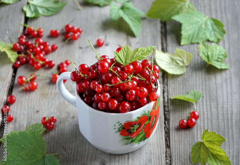 Red currant Red currant