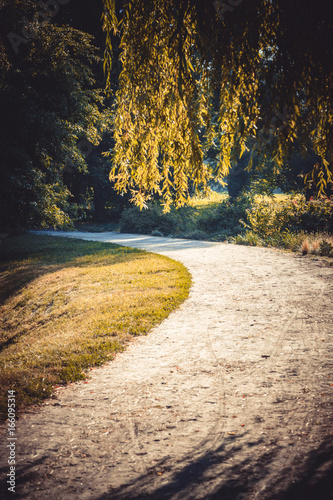 Road in the forest park in the spring photo