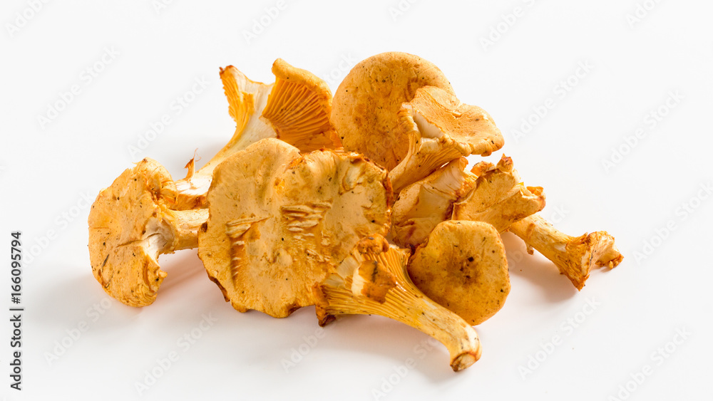 Pfifferlinge auf weissem Grund Pfifferlinge auf weissem Grund