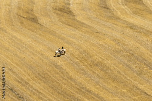 Two riders on a mowed field
