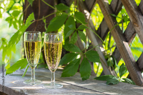 two glasses of white sparkling wine on the background of the summer garden. copy space.