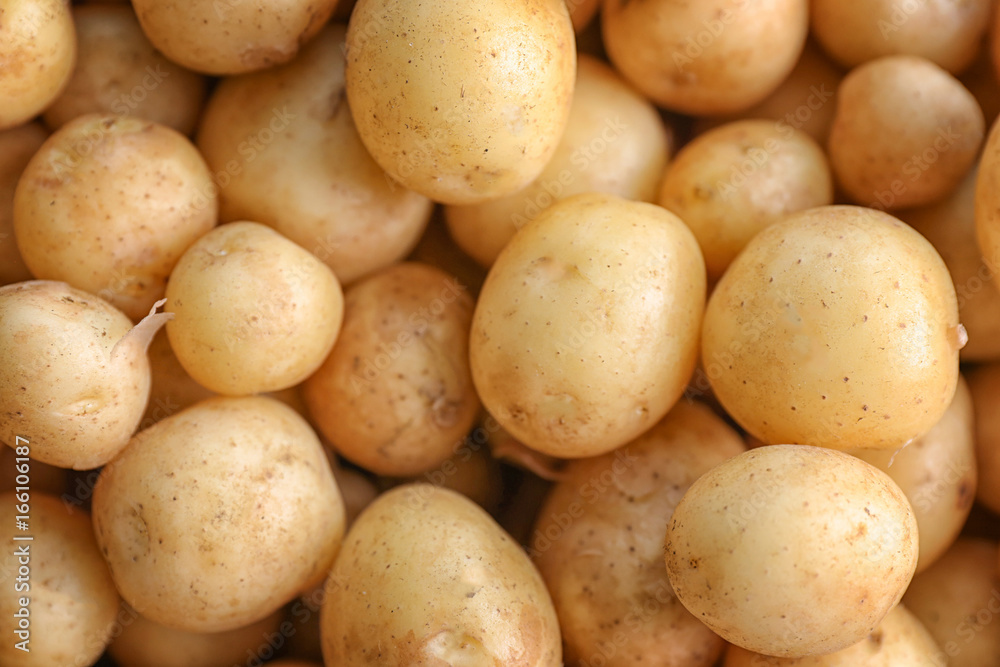 Heap of raw organic potato, closeup Heap of raw organic potato, closeup