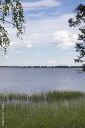 Summer lake in a midland of Europe