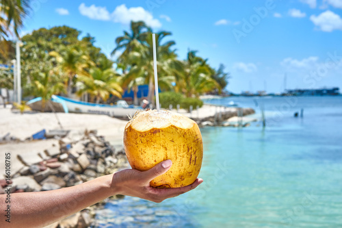 Fototapeta Naklejka Na Ścianę i Meble -  Fresh coconut drink directly from the fruit / Hand of black woman holding coconut with drinking straw at caribbean coast