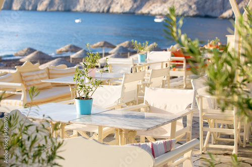 A small olive tree as a decoration of a restaurant table by the sea