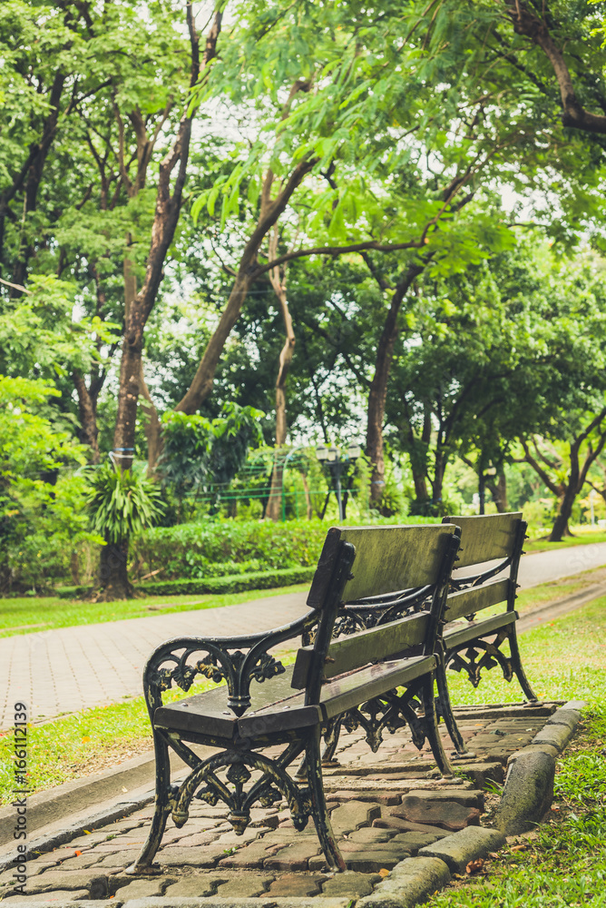 Bench near tree in public park with city scape background