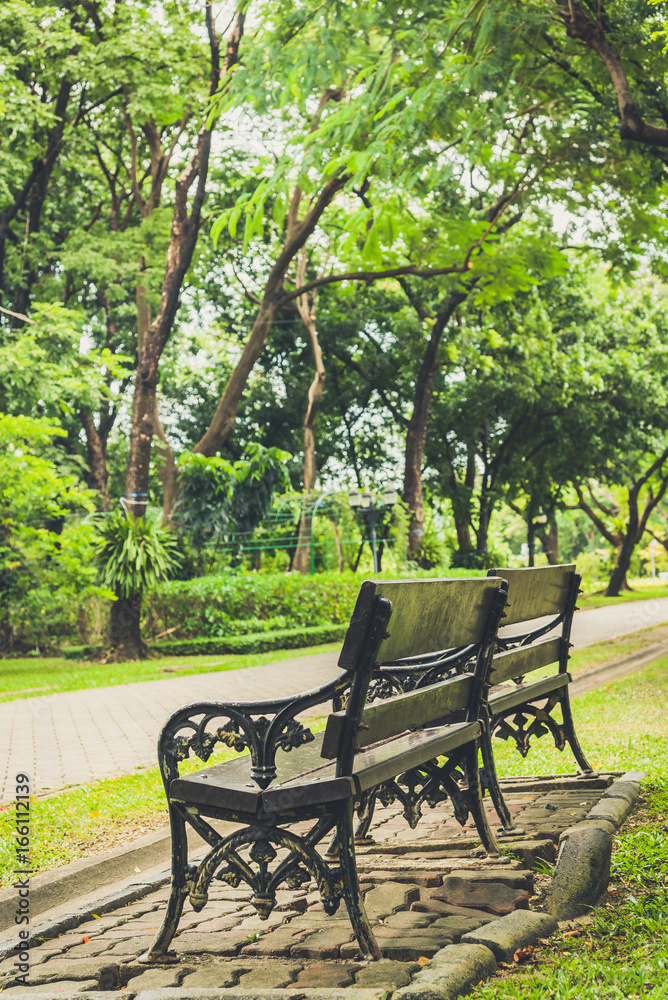 Bench near tree in public park with city scape background Bench near tree in public park with city scape background
