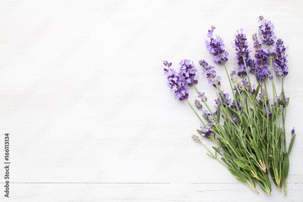 Naklejka premium Kwiaty lawendy.