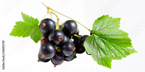 Photos fresh berries of currant on a white background