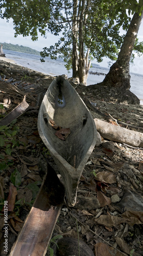 Dugout Canoe in Marovo Lagoon, World Heritage Site in Solomon Islands photo