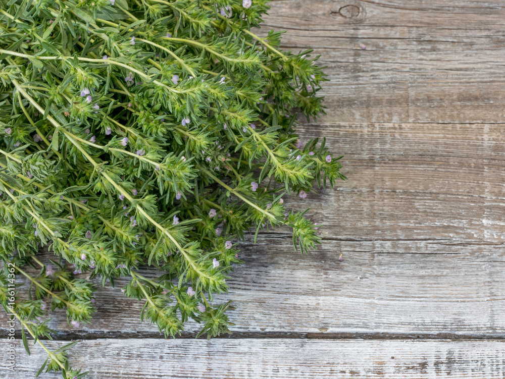 Close-up fresh Savory aromatic herb on rustic wooden table Close-up fresh Savory aromatic herb on rustic wooden table