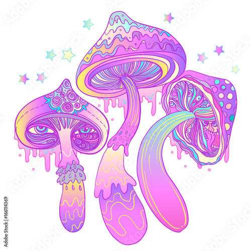 Magic mushrooms. Psychedelic hallucination. Vibrant vector illustration.