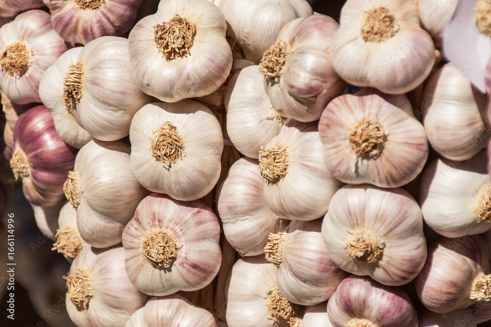 Sales of fresh garlic at the market. Cultivating healthy vegetables. Traditional aromatic spices. Sales of fresh garlic at the market. Cultivating healthy vegetables. Traditional aromatic spices.