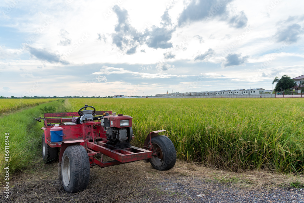 Thai farm tractor on the rice field waiting for harvest. Thai farm tractor on the rice field waiting for harvest.
