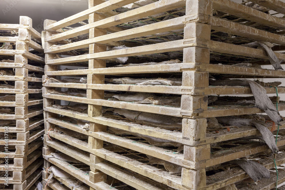 Salted cod dried on wooden racks Salted cod dried on wooden racks