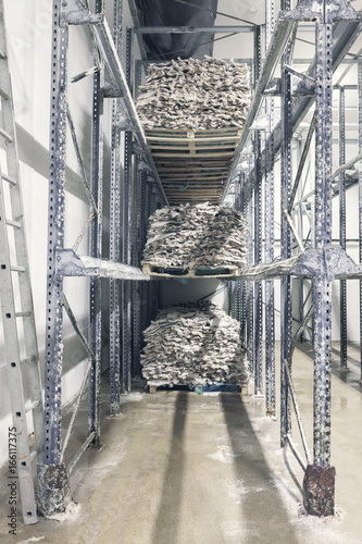 Salted cod dries on pallets
