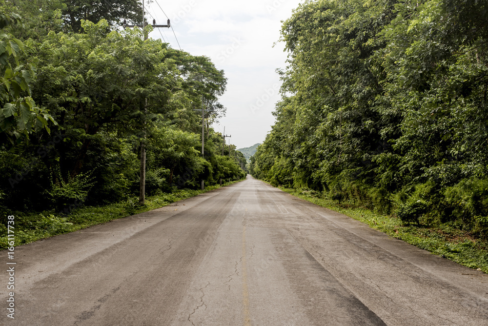 Country road with forest Country road with forest
