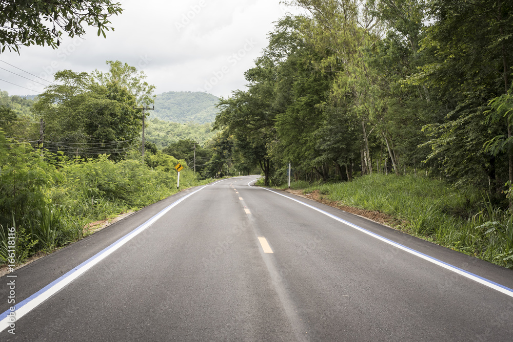 Country road with forest