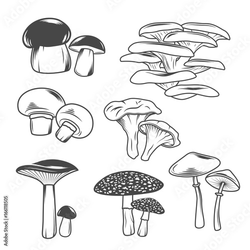Mushrooms
