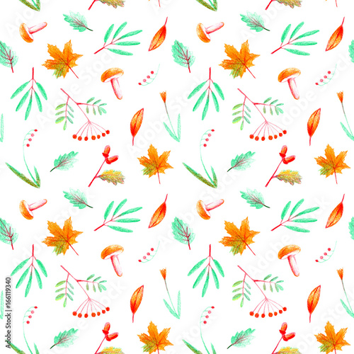 Seamless pattern of a flower  plants  rowan acorn maple and mushroom. Autumn and herbs image. Watercolor and pencil color hand drawn illustration.White background.