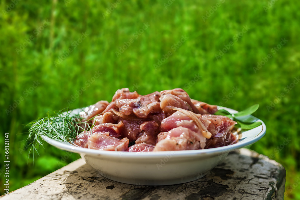 Fresh meat for a barbecue