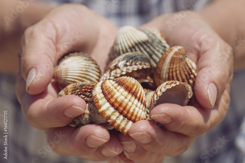 Hands full of sea shells