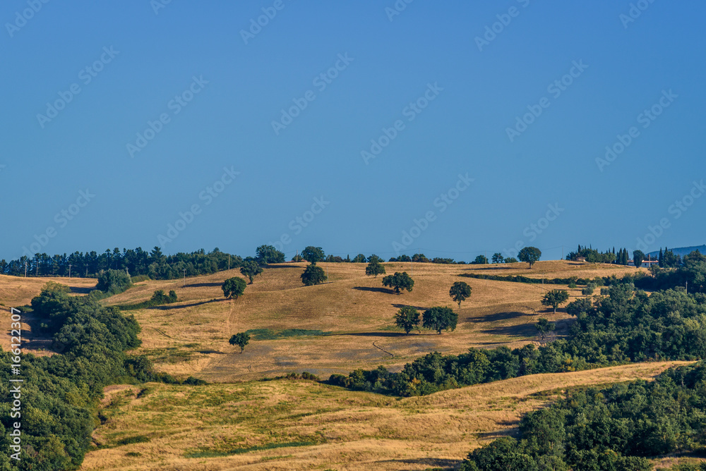 Fototapeta premium Summer in Tuscany