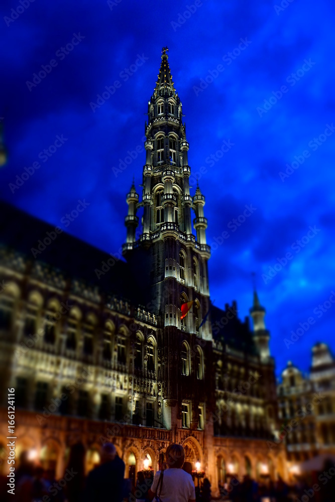 Fototapeta premium Brüssel Rathaus